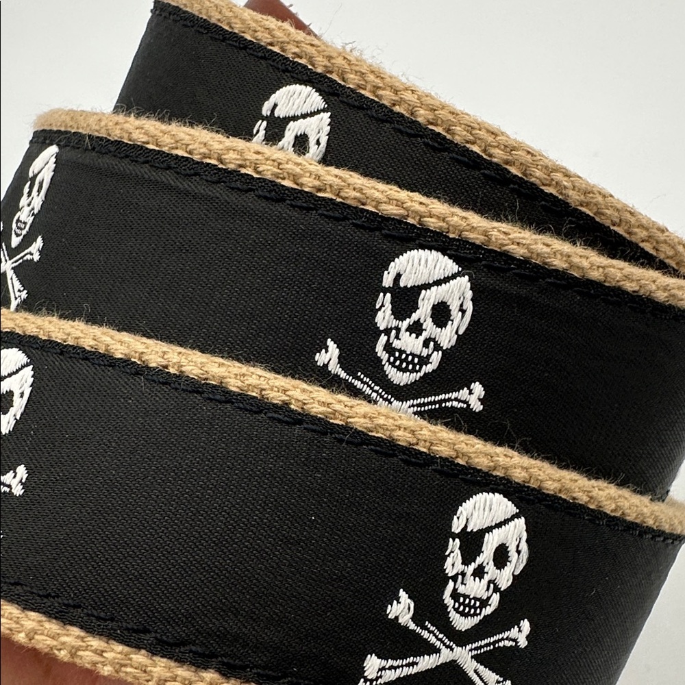 Black Skull and Crossbones Belt